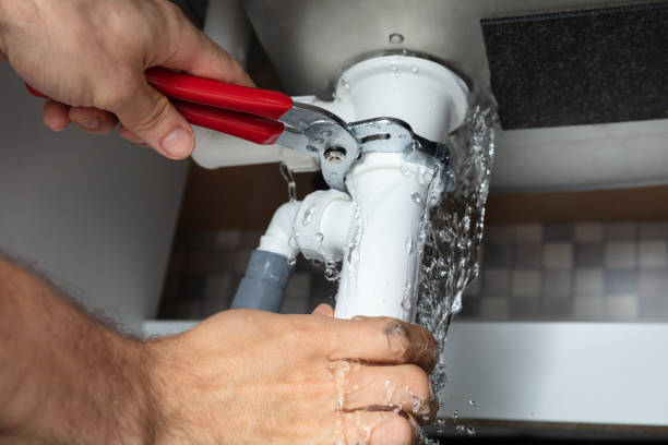 Best Mold removal after water damage  in Yucos, CA