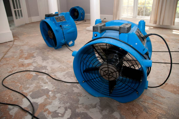 Best Local water damage restoration  in Yucos, CA