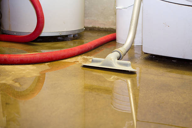 Best Flooded house restoration  in Yucos, CA