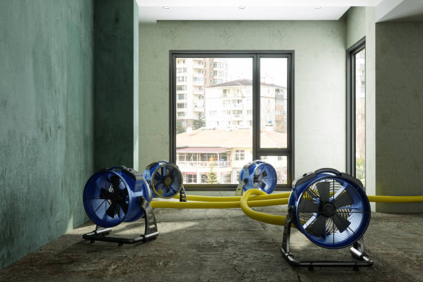 Best Water damage restoration near me  in Yucos, CA